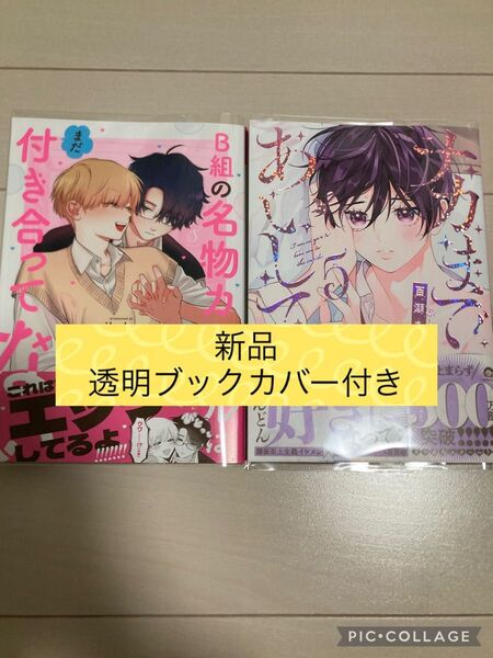 新品 ナカまであいして 5巻/B組の名物カップルはまだ付き合ってない
