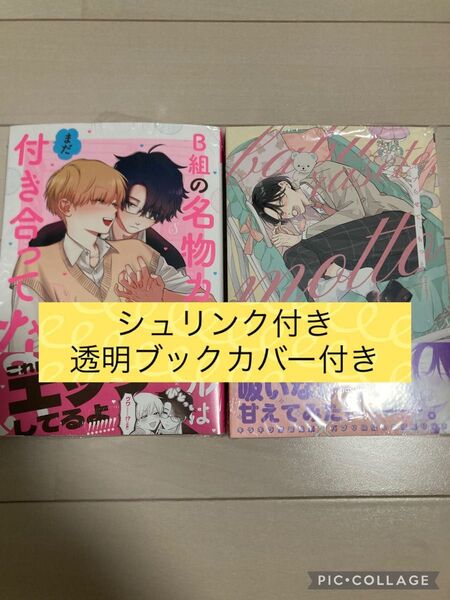 新品 バブらせて、もっと 千野ち/B組の名物カップルはまだ付き合ってない nikuhen