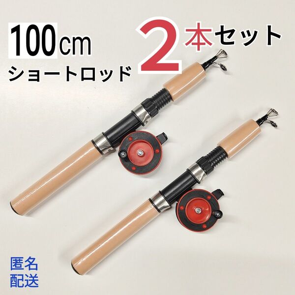 2本セット、100cmショートロッドとリールのセット コンパクトロッド サビキ 穴釣り