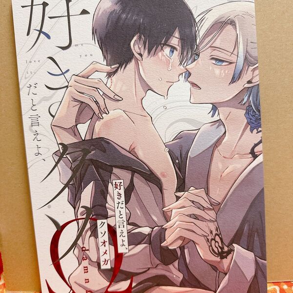 ブルーロック同人誌 同人誌 カイ潔 カイザー×潔 まとめ売り
