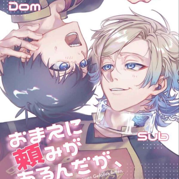 同人誌 ブルーロック同人誌 カイ潔 カイザー×潔
