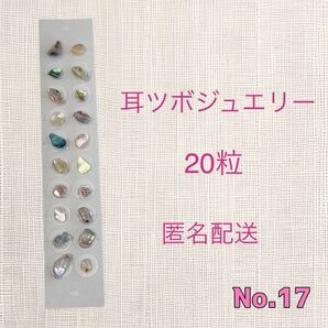 耳つぼジュエリー20粒No17