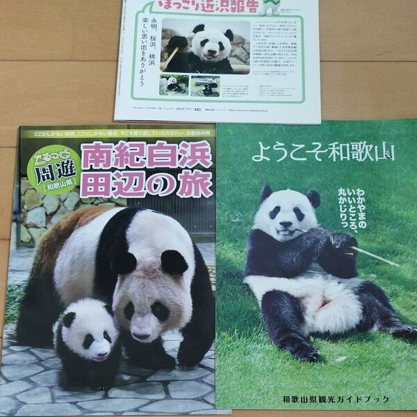 アドベンチャーワールド パンダ 彩浜 永明 和歌山県 田辺白浜 観光ガイド