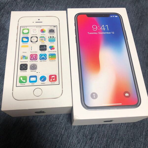 アイフォン iPhone Ⅹ 5S空箱のみ