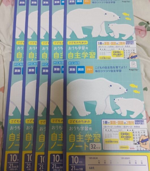 おうち学習用 自主学習ノート 10冊