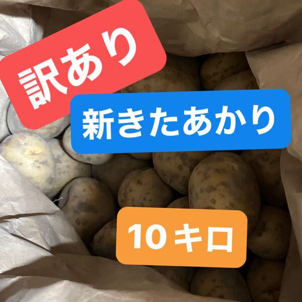 訳あり きたあかり じゃがいも
