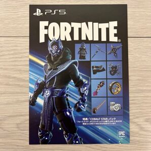 Fortnite フォートナイト プロダクト冊子 PS5 Cobalt Star