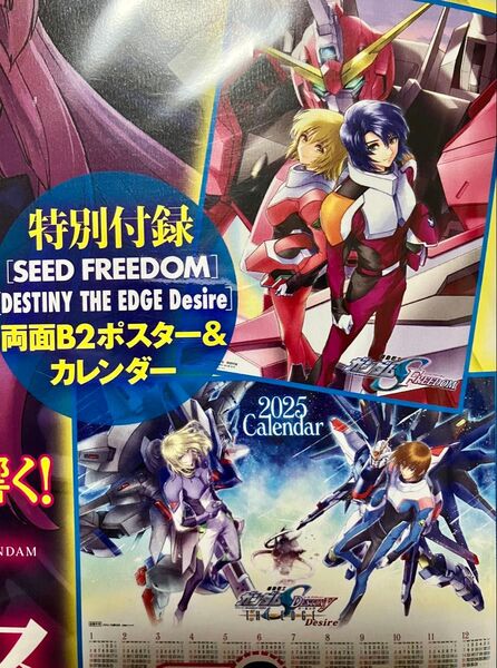 【説明必読】ガンダムエース2025年3月号 特別付録 SEED Freedom 両面ポスター/カレンダー アスラン カガリ