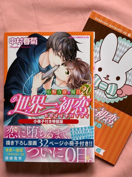 世界一初恋 20巻 小冊子付き特装版 中村春菊
