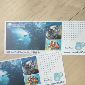 新江ノ島水族館 読売ファミリーサークル ご招待券 2枚