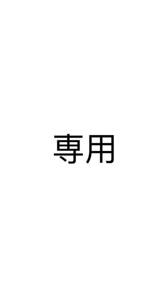 ファントムバスターズ 缶バッジ多聞vol.1(ホロ1.SD1)、缶バッジ多聞vol.2(等身ホロ2.等身ノーマル1)