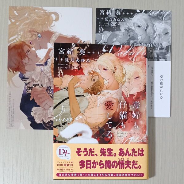 毒婦も仔猫も愛してる (新書館ディアプラス文庫 628) 宮緒葵/著 夏乃あゆみ/イラスト