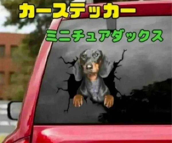 カーステッカー ダックスフンド 癒し 3Dアート 車 シール ペッド かわいい ステッカーシール ワンポイント ワンチャン愛犬家