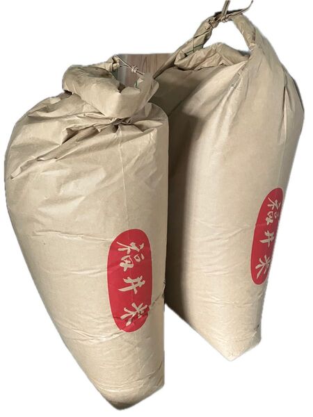 令和6年度産 福井県産コシヒカリ 玄米10kg