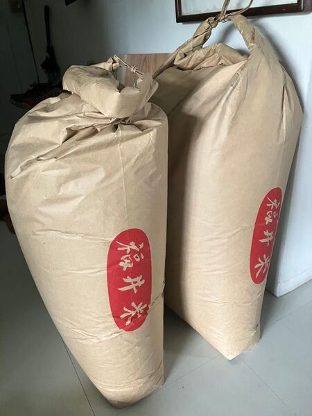 令和6年度産 福井県産コシヒカリ 玄米10kg
