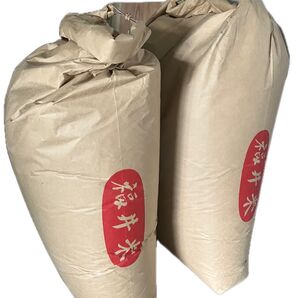 福井県産コシヒカリ 玄米20kg