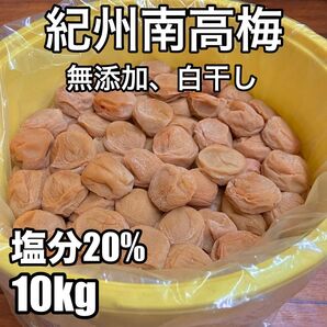 訳あり 無添加 紀州南高梅 白干し梅 10kg 梅干し 完熟梅