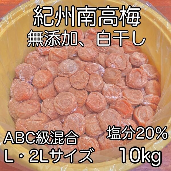 無添加紀州南高梅10kg梅
