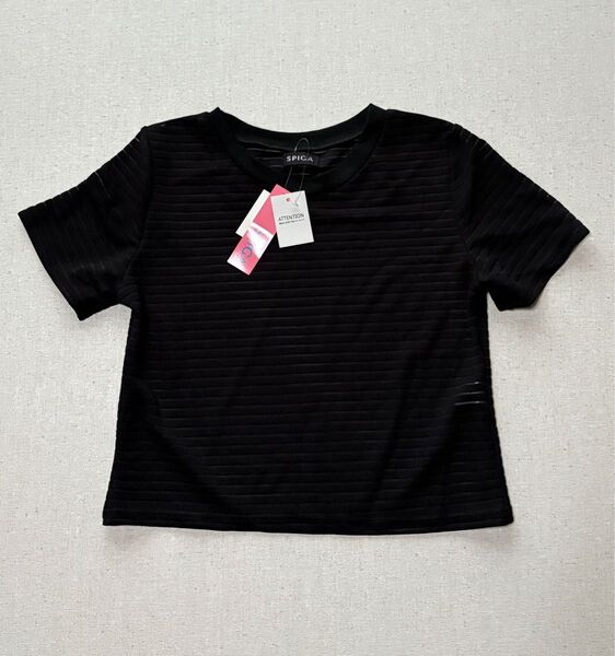 SPIGA シースルーボーダーショートトップス
