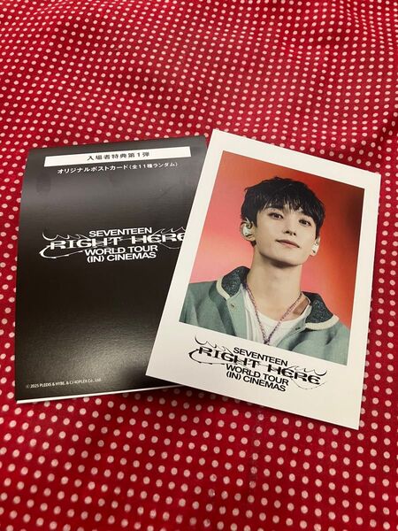 SEVENTEEN RIGHT HERE 映画入場特典 フォトカード ドギョム DK
