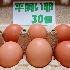 源さんの平飼い卵.M〜2L30個10個入り3パック 朝採れ新鮮 養鶏家の鶏舎直送