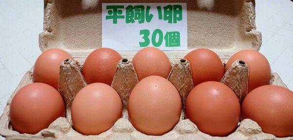 源さんの平飼い卵.M〜2L30個10個入り3パック 朝採れ新鮮 養鶏家の鶏舎直送