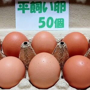 源さんの平飼い卵. M~2L50個 10個入り5パック 朝採れ新鮮 養鶏家の鶏舎直送