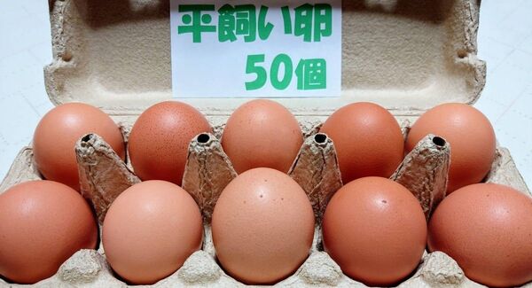 源さんの平飼い卵. M~2L50個 10個入り5パック 朝採れ新鮮 養鶏家の鶏舎直送
