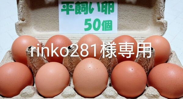 源さんの平飼い卵. M~2L50個 10個入り5パック 朝採れ新鮮 養鶏家の鶏舎直送