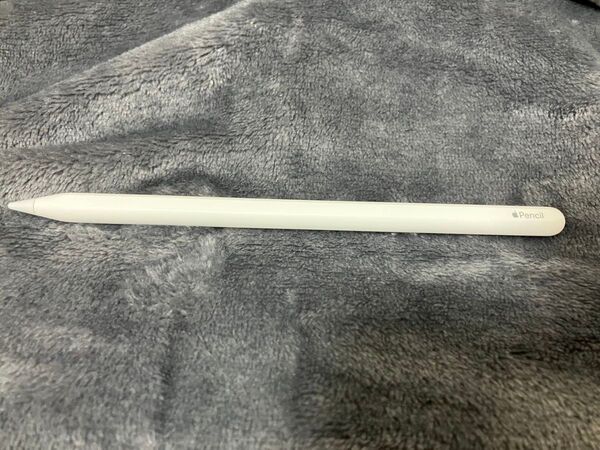 Apple Pencil(第2世代)動作確認済