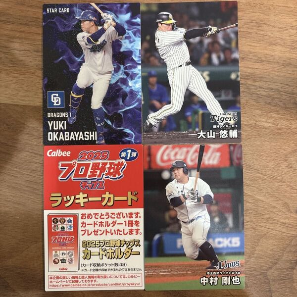 2025 プロ野球チップス ラッキーカード おまけ付き
