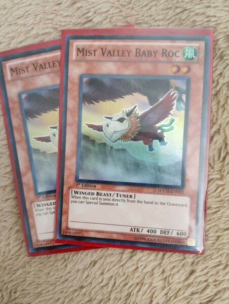遊戯王 北米版 ミストバレーロック 1st スーパー 二枚セット