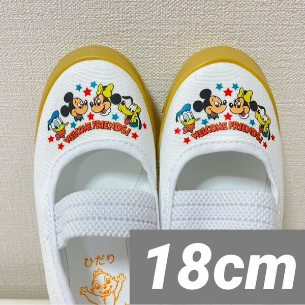 新品 ミッキー ミニー 上履き バレエシューズ 18cm 上靴 タグ同梱OK