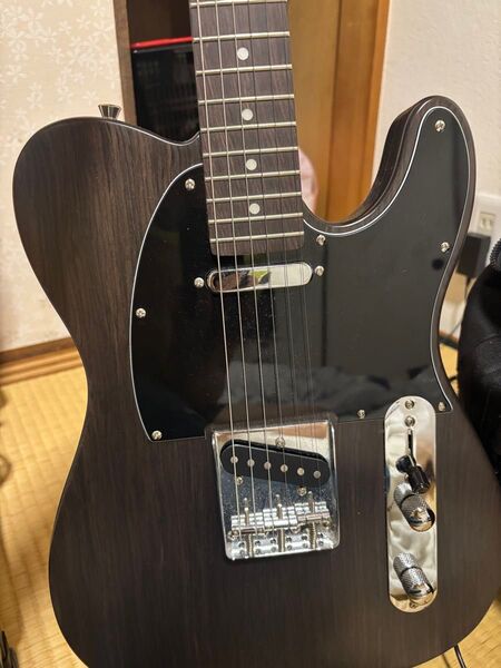 Telecaster Bacchus エレキギター テレキャス