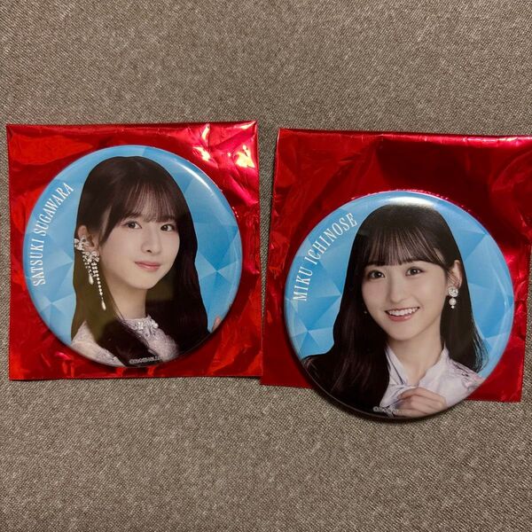 乃木坂46 菅原咲月&一ノ瀬美空 缶バッジ 2個セット