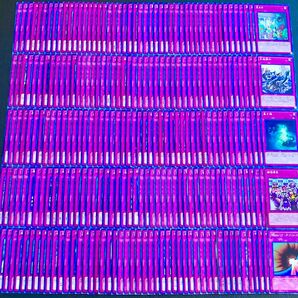 遊戯王 汎用罠カード、超大量セット