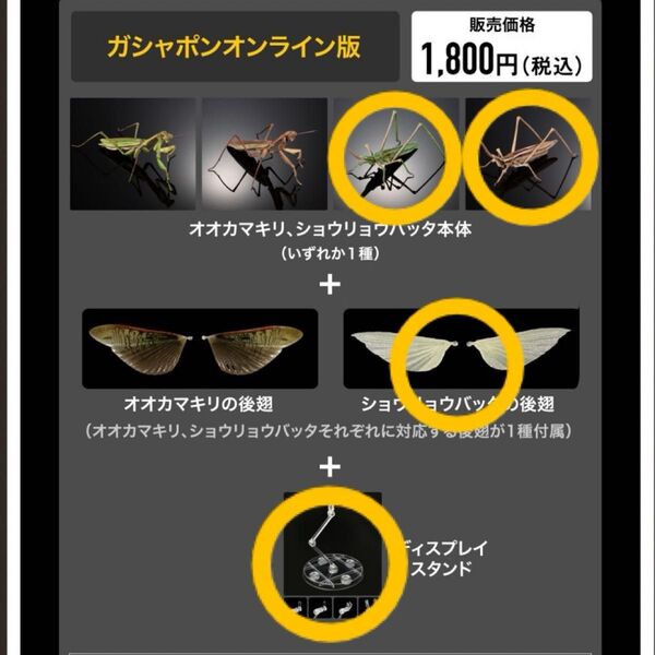 いきもの大図鑑アドバンス オンライン版 ショウリョウバッタ(褐色型)(緑色型)