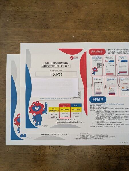 万博 通期パス 大人2枚 (即日発送可能)