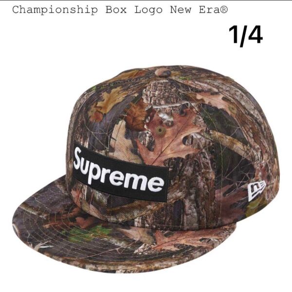 Supreme New Era True Timber Realtree Box Logo Baseball Cap
