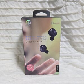 M-SOUNDS 完全ワイヤレス イヤホン MS-TW2PBK ブラック
