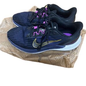 NIKE エア ウィンフロー 9