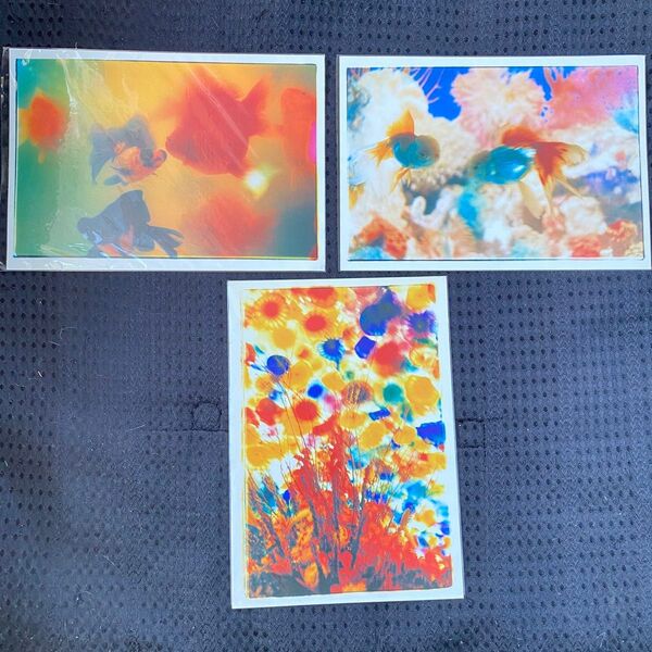 蜷川実花 ポストカード 3枚 Mika Ninagawa Postcard
