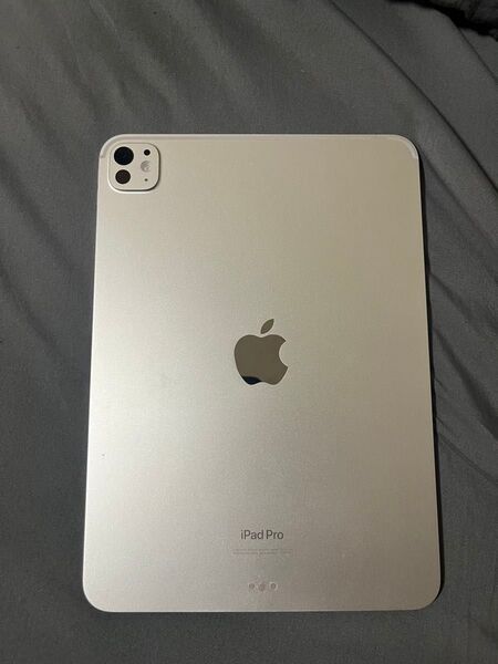 iPad Pro m4 11インチ Wi-Fiモデル 256gb