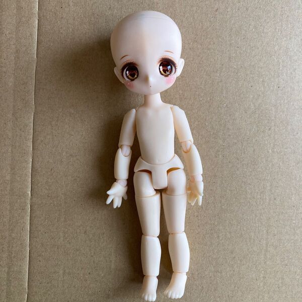 ディーラー様製 カスタムヘッド obヘッド ピコニーモpボディ