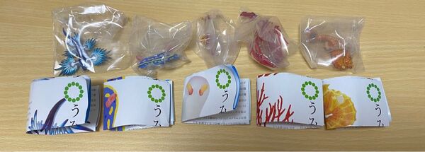 うみべのいきもの マグネット&ボールチェーン 5種類 まとめ売り