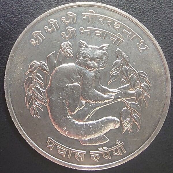 1974年 インドネシア銀貨 5000ルピア WWF 世界野生生物基金記念銀貨 レッサーパンダ 42mm 特大銀貨