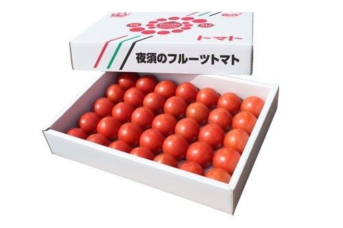 高知県産 夜須フルーツトマト 約1.8k 送料無料