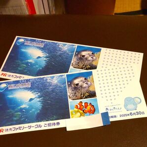 新江ノ島水族館 招待券 2枚