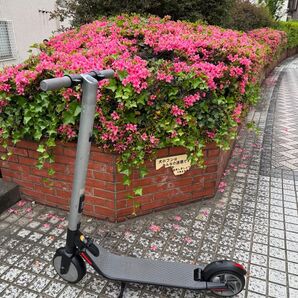 Segway ninebot ES2 直接引取可能