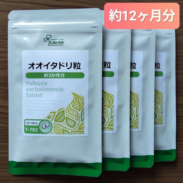リプサ オオイタドリ粒 約12ヶ月分 サプリメント